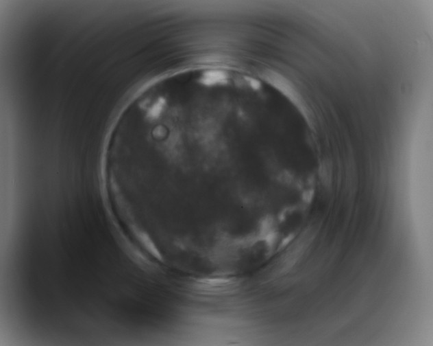 X0000089741482200707121458