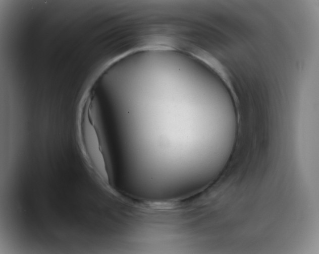 X0000089741488200707121458