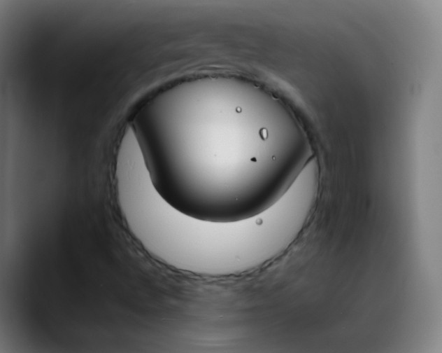 X0000089741496200707121458