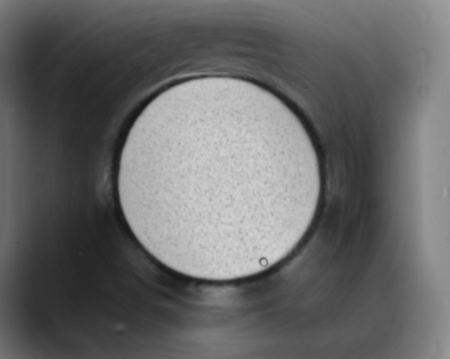 X0000089741498200707121458