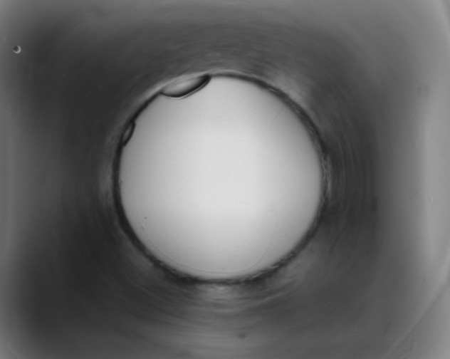 X0000089741500200707121458