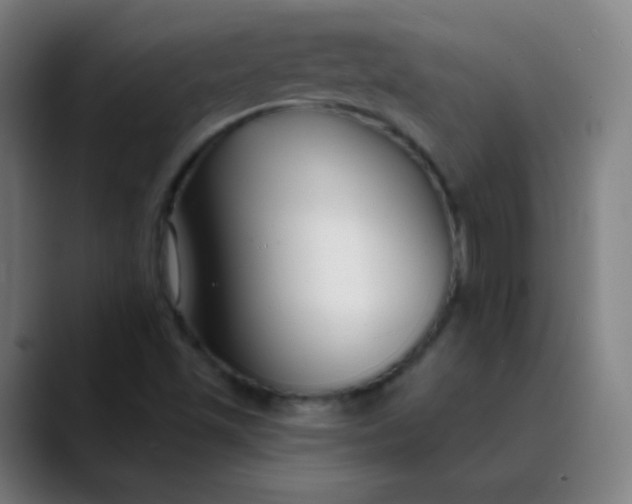 X0000089741501200707121458