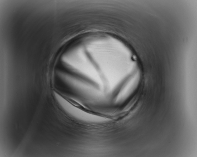 X0000089741505200707121458