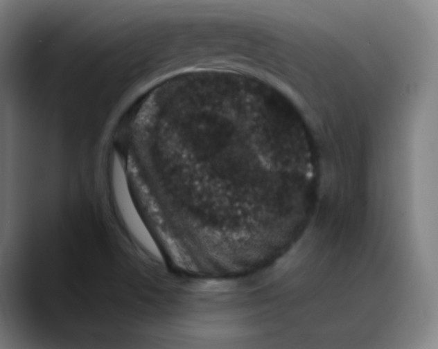 X0000089741506200707121458