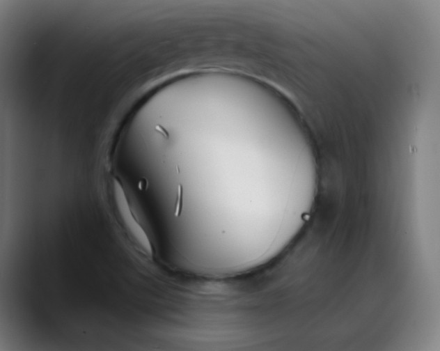 X0000089741507200707121458