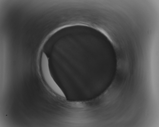 X0000089741508200707121458