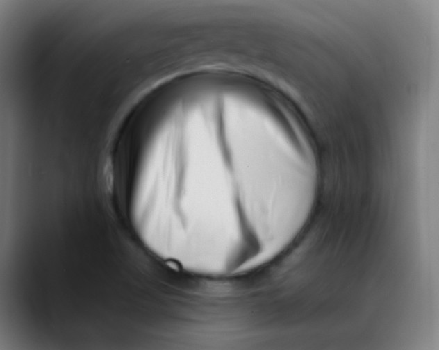 X0000089741509200707121458