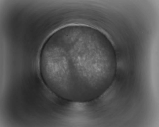 X0000089741514200707121458