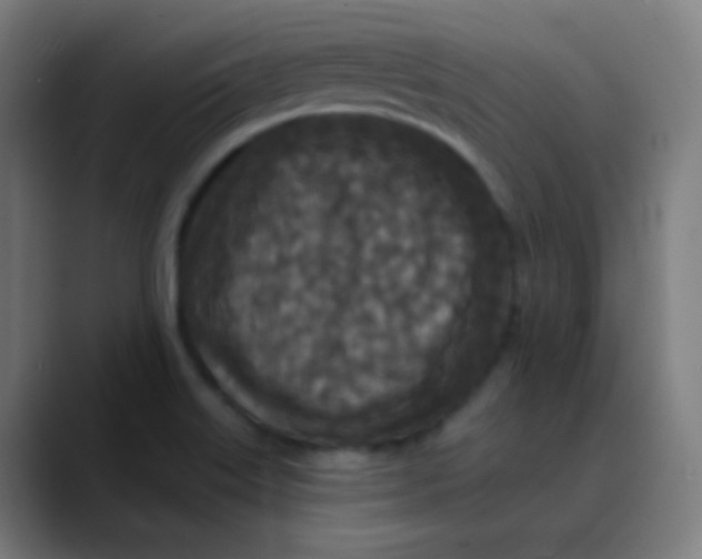 X0000089741515200707121458