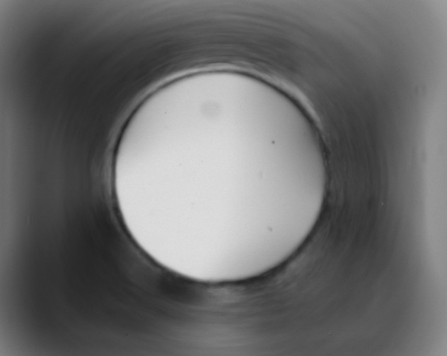 X0000089741516200707121458