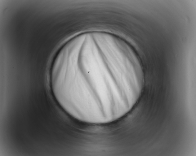 X0000089741517200707121458