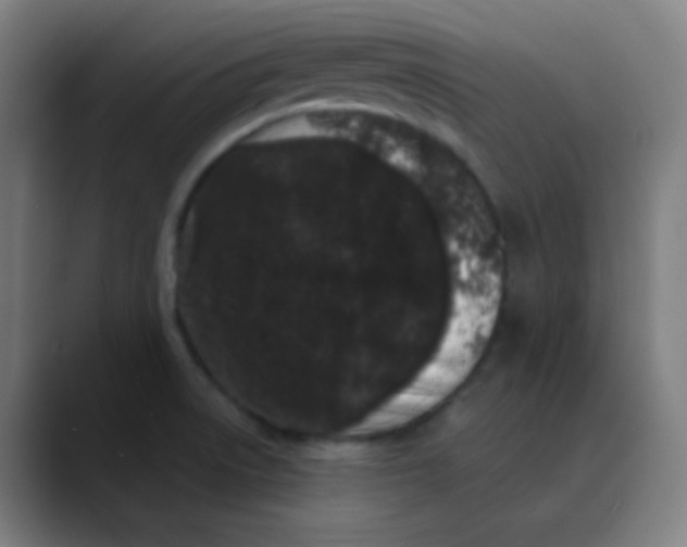 X0000089741522200707121458