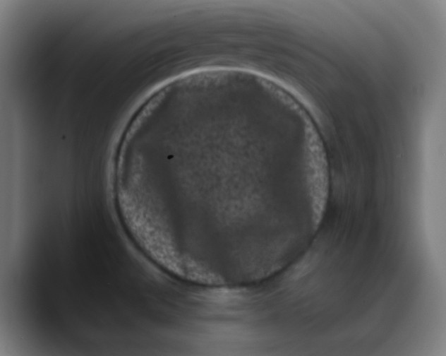 X0000089741527200707121458