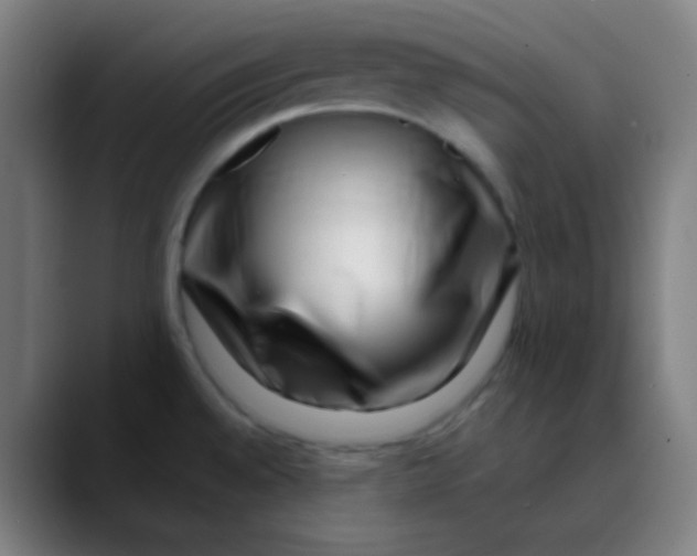 X0000089741528200707121458