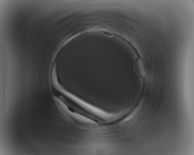 X0000089741529200707121458