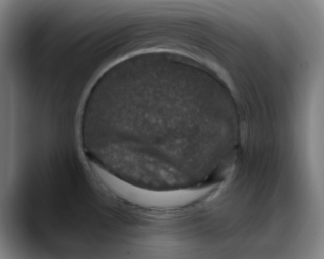 X0000089741530200707121458