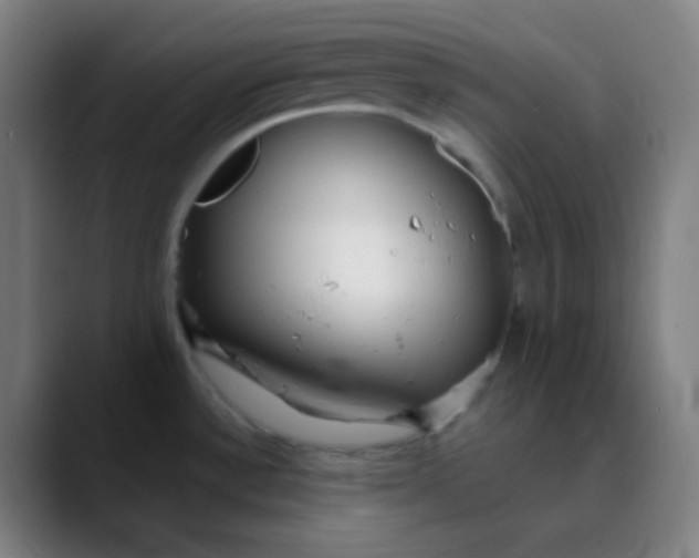 X0000089741532200707121458