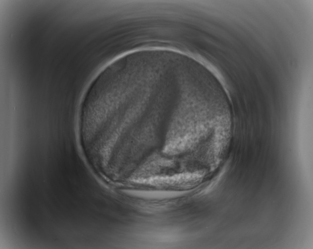 X0000089741533200707121458