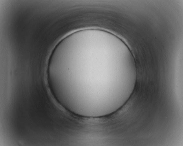 X0000089741534200707121458