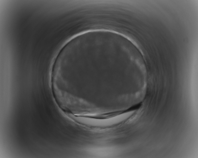 X0000089741535200707121458