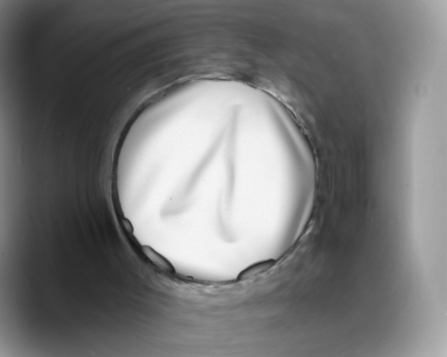 X0000089740003200707201911