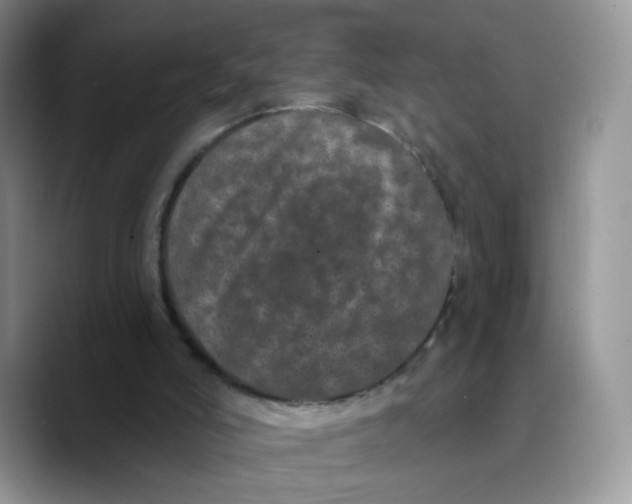 X0000089740006200707201911