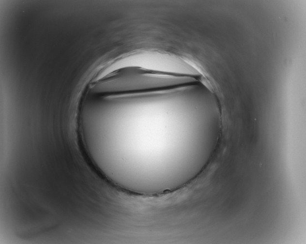X0000089740007200707201911