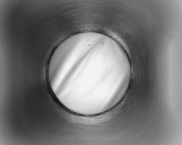 X0000089740010200707201911