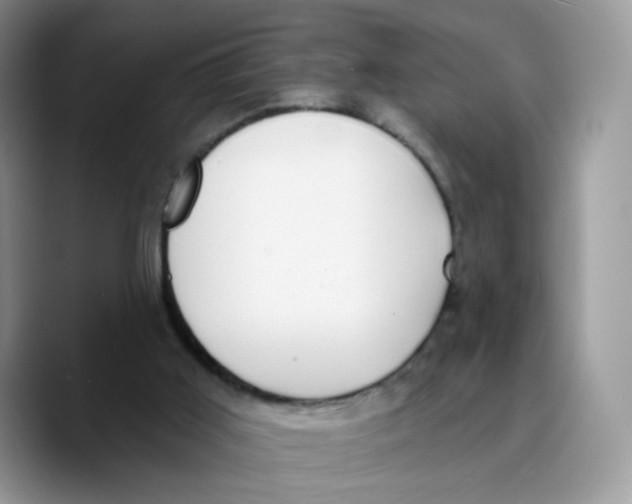 X0000089740011200707201911