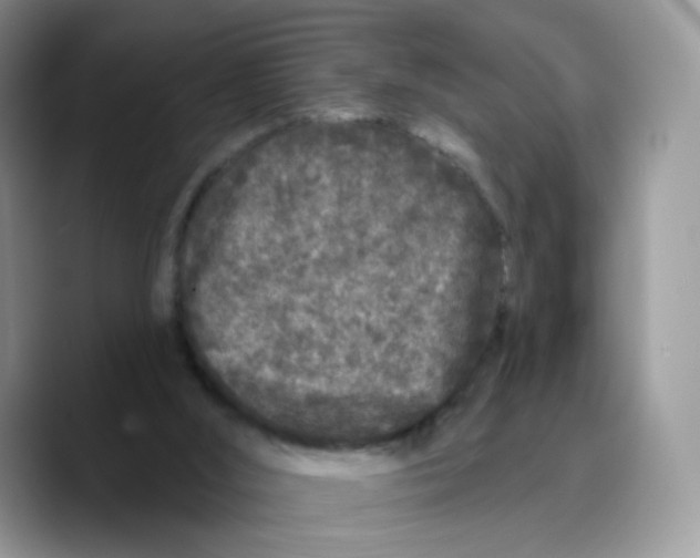 X0000089740012200707201911
