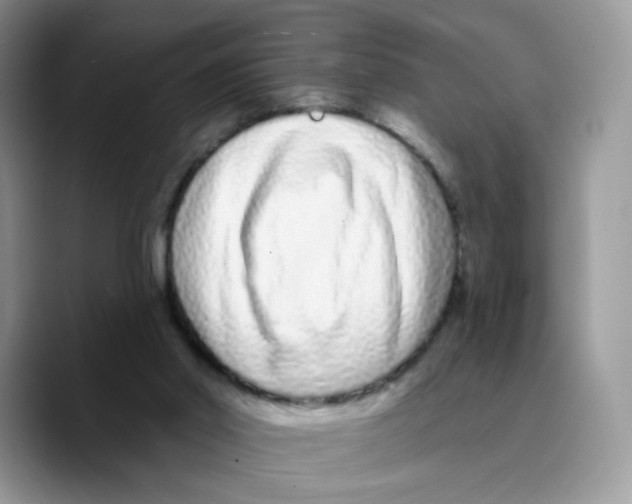 X0000089740014200707201911