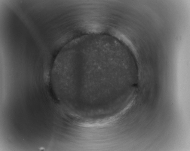 X0000089740017200707201911