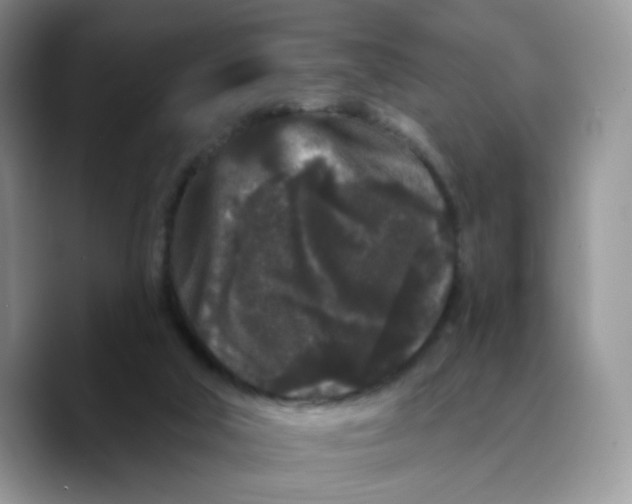 X0000089740018200707201911