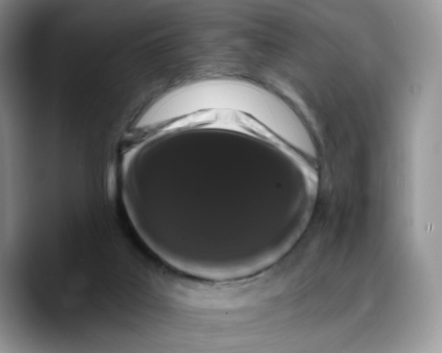 X0000089740019200707201911
