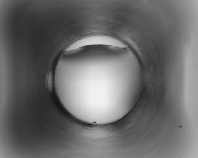 X0000089740020200707201911