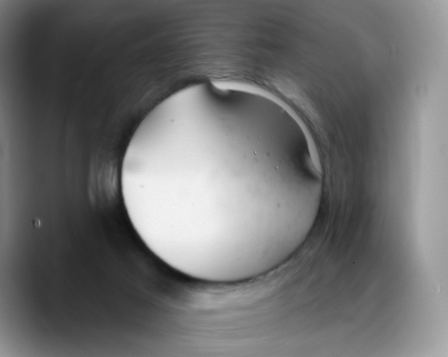 X0000089740021200707201911
