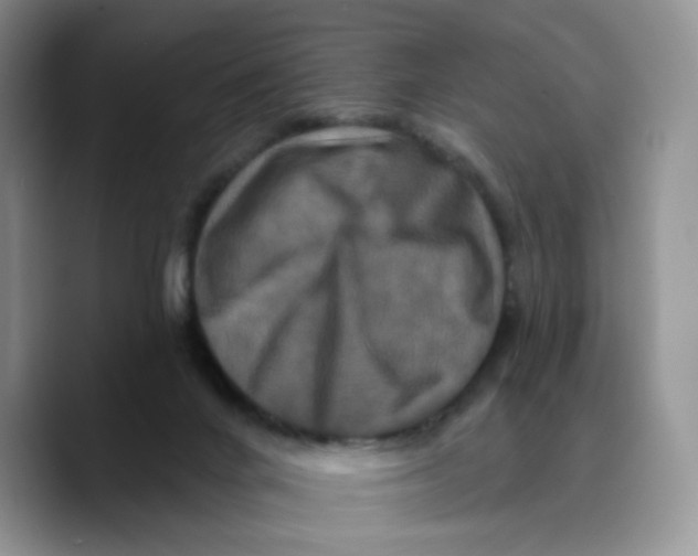 X0000089740024200707201911