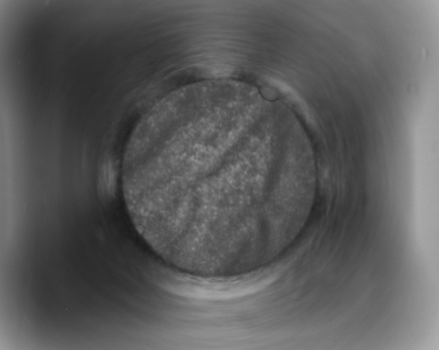 X0000089740026200707201911