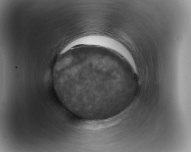 X0000089740029200707201911