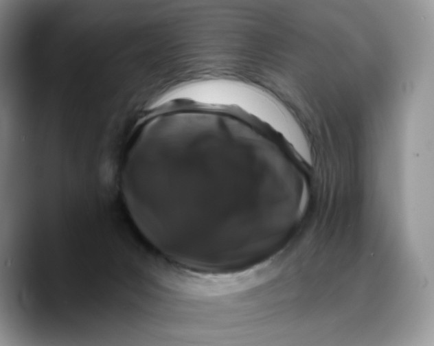 X0000089740031200707201911