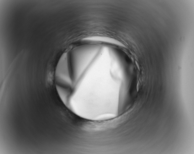 X0000089740033200707201911