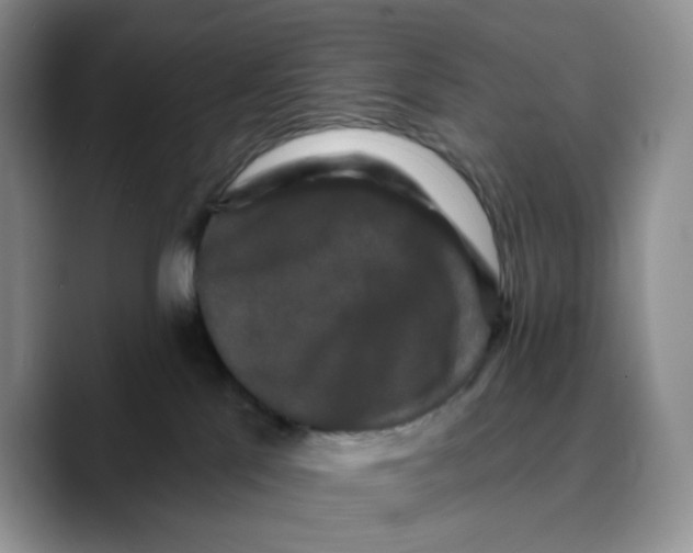 X0000089740041200707201911
