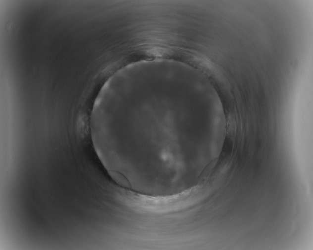 X0000089740043200707201911