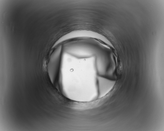 X0000089740045200707201911