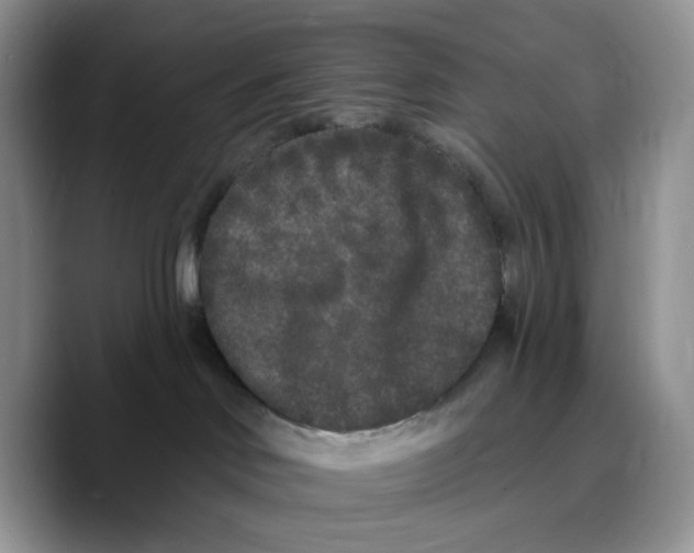 X0000089740046200707201911