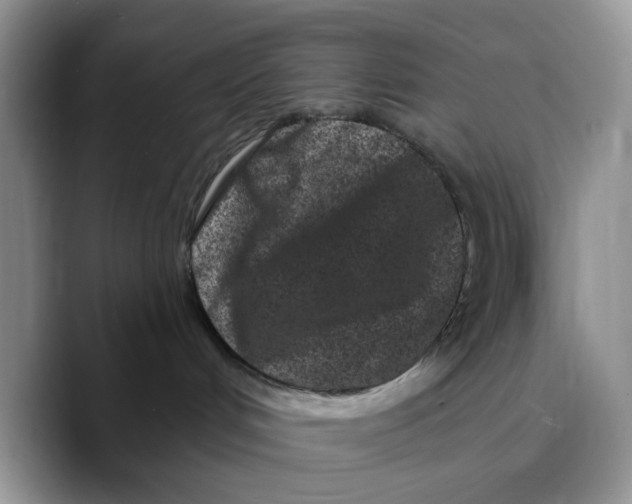 X0000089740048200707201911