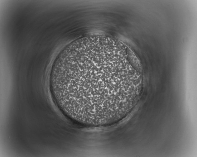 X0000089740049200707201910