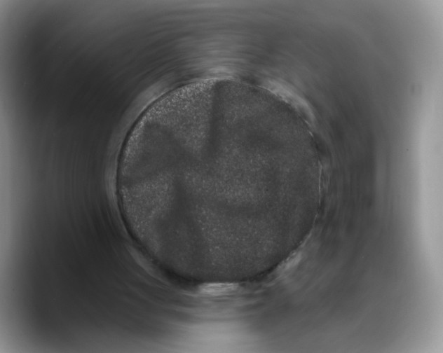 X0000089740051200707201910