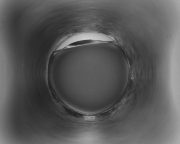 X0000089740052200707201910