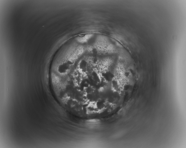 X0000089740053200707201910